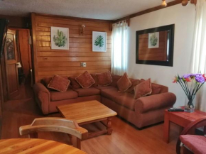 Pucón, confortable departamento